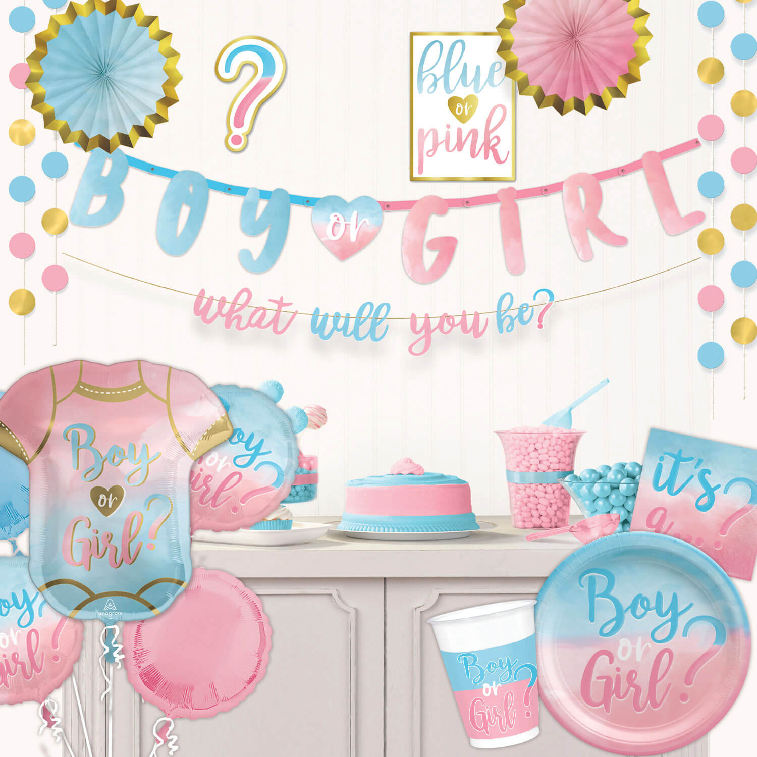 boy or girl blue and pink gender reveal party supplies