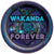 Amscan BIRTHDAY: JUVENILE Black Panther Wakanda Forever Round Plates, 9"