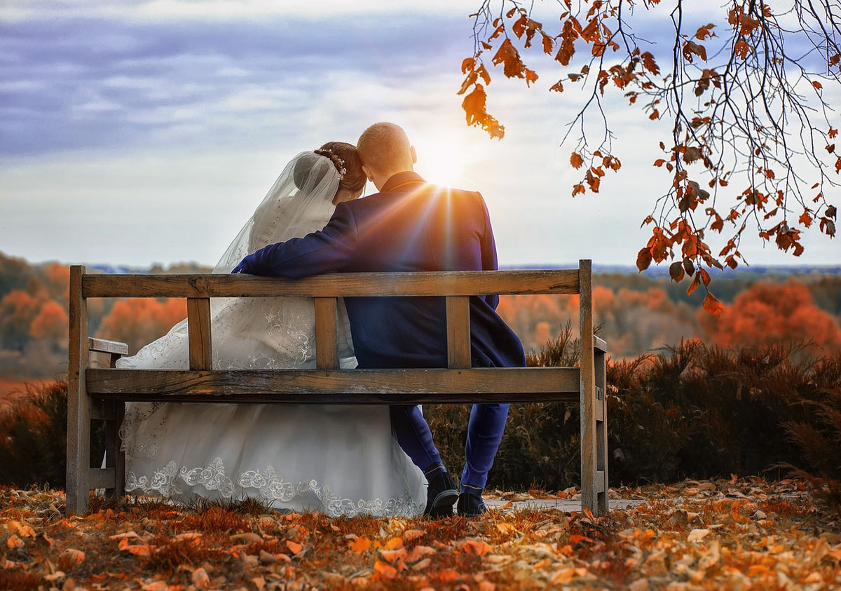 A bride and groom are sitting on a bench while enjoying a view of fall foliage