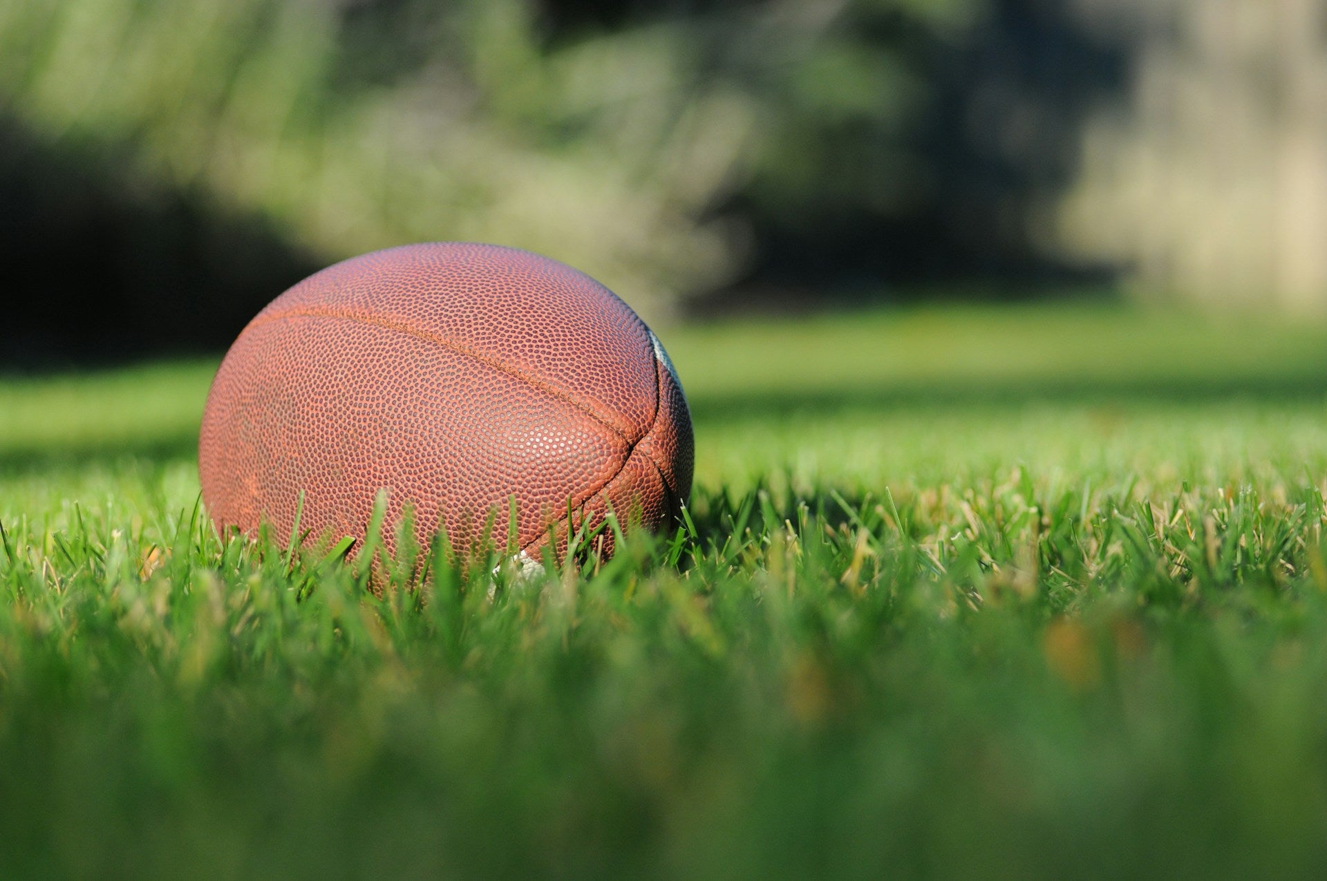 football sitting in the grass