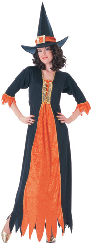 Adult Gothic Witch Standard Size Halloween Costume