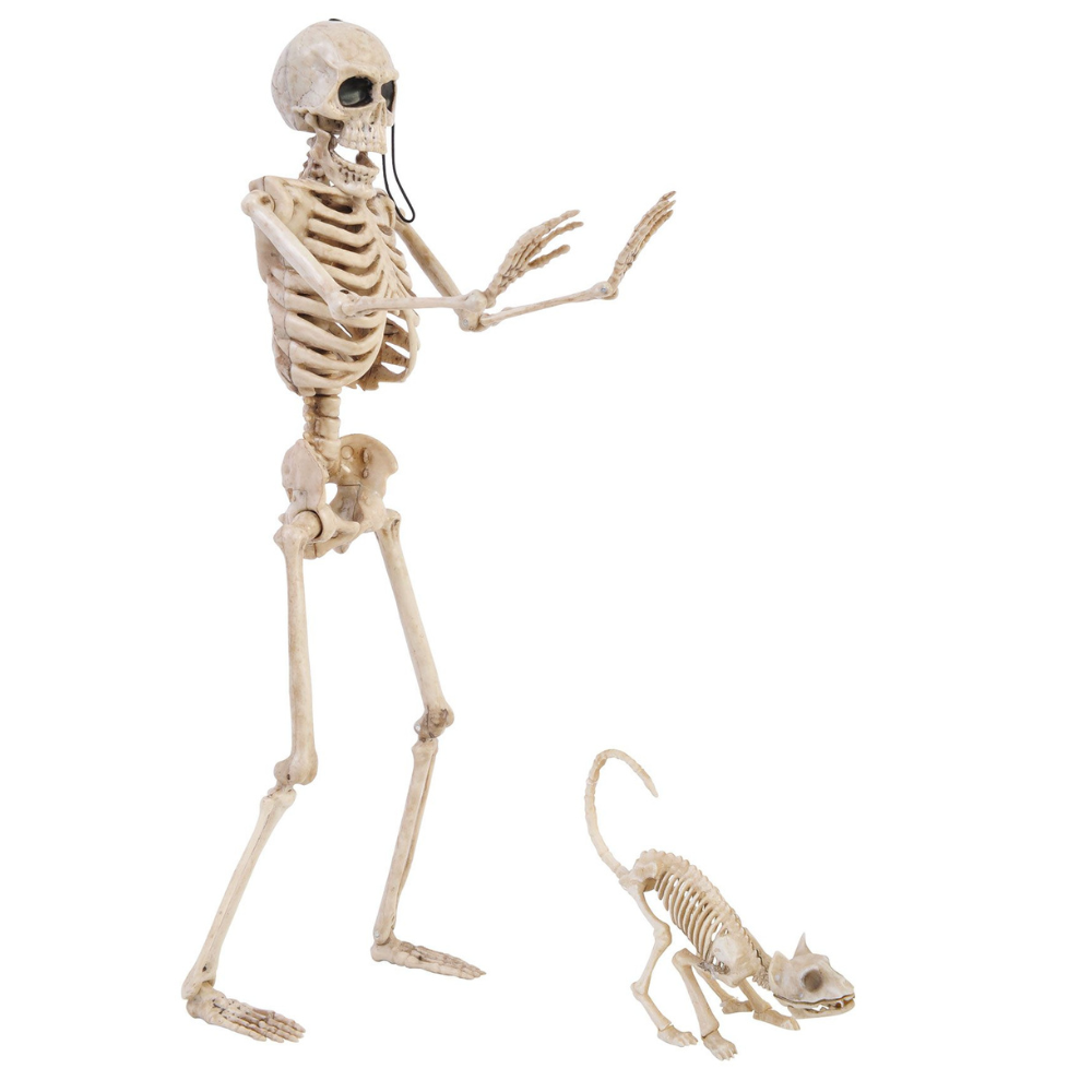 14" Skeleton Walker and Pet Assortment