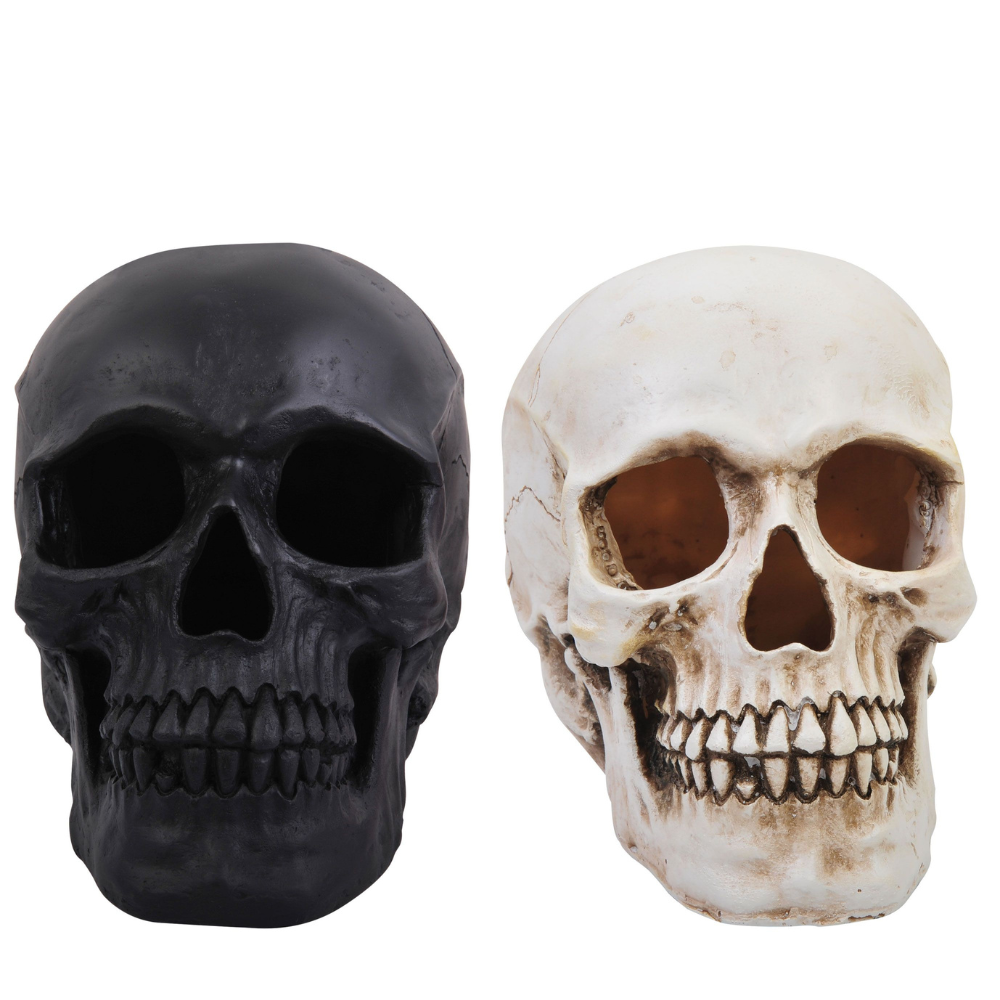  Realistc Skull Assortment