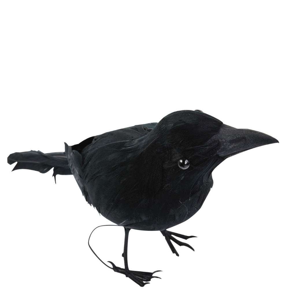 Black Raven w/Feathers