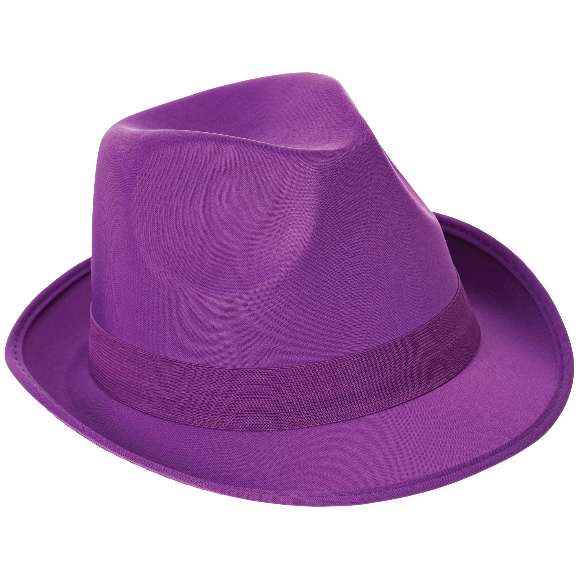 Fedora Hat Purple