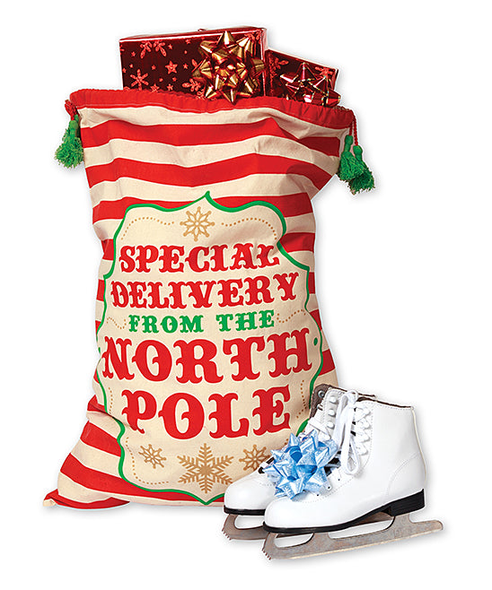Special Delivery Santa Gift Sack