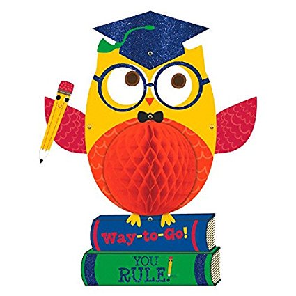 19&quot; Graduation Honeycomb Owl Hanging Decoration