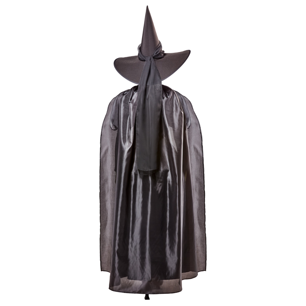 Wicked Witch Deluxe Adult Costume