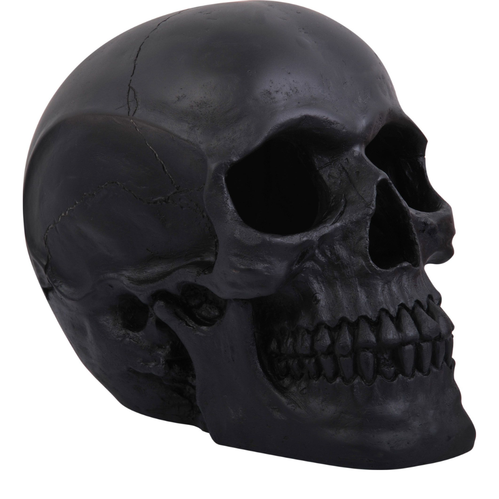  Realistc Skull Assortment