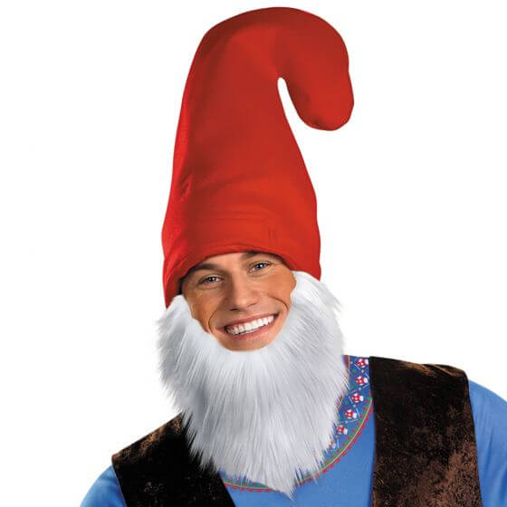 Mens Papa Gnome Costume