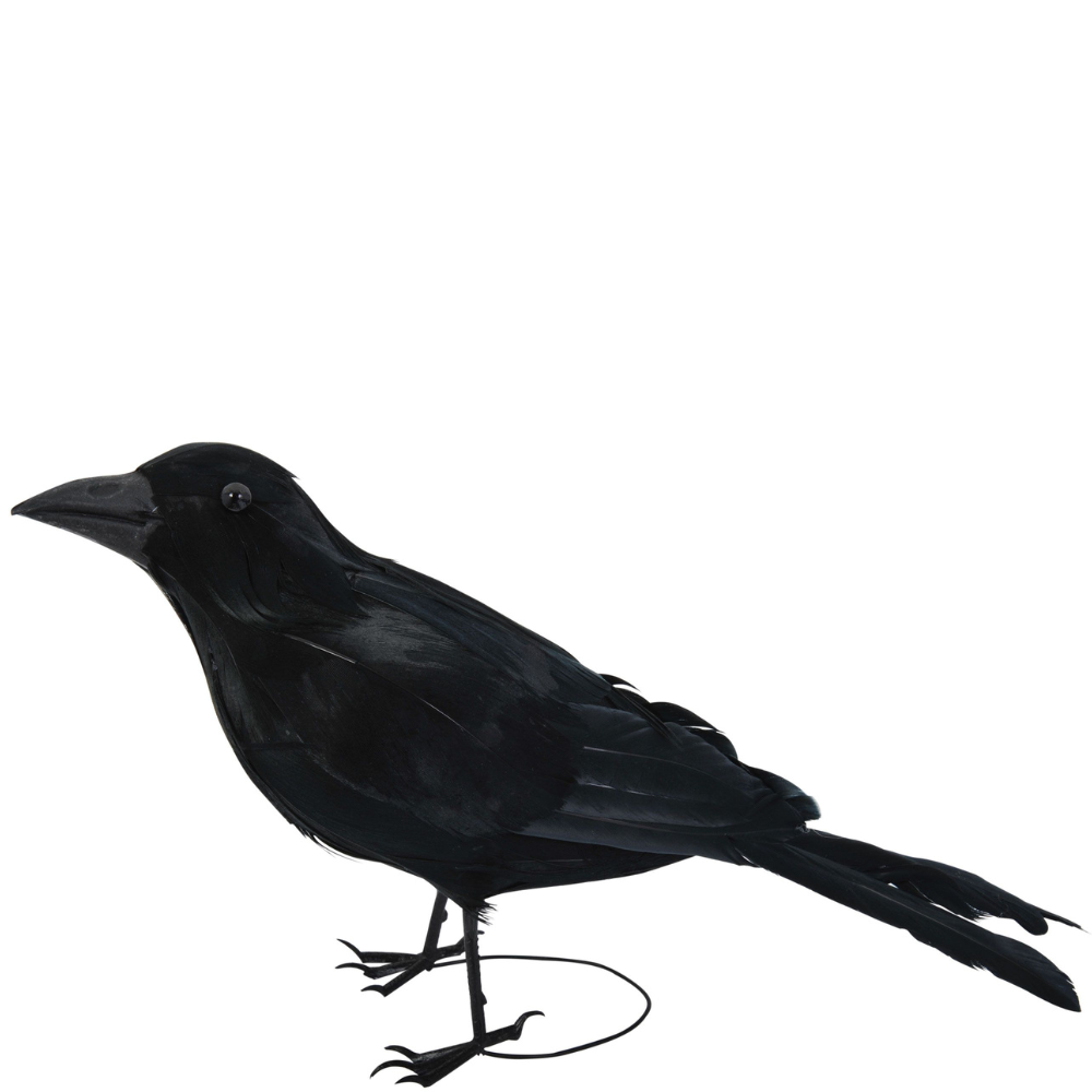 Black Raven w/Feathers