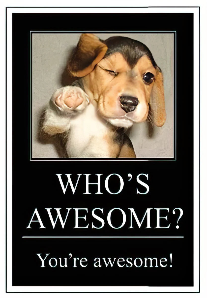 Birthday Card - Who's Awesome? You're Awesome! Puppy Pointing Birthday Card