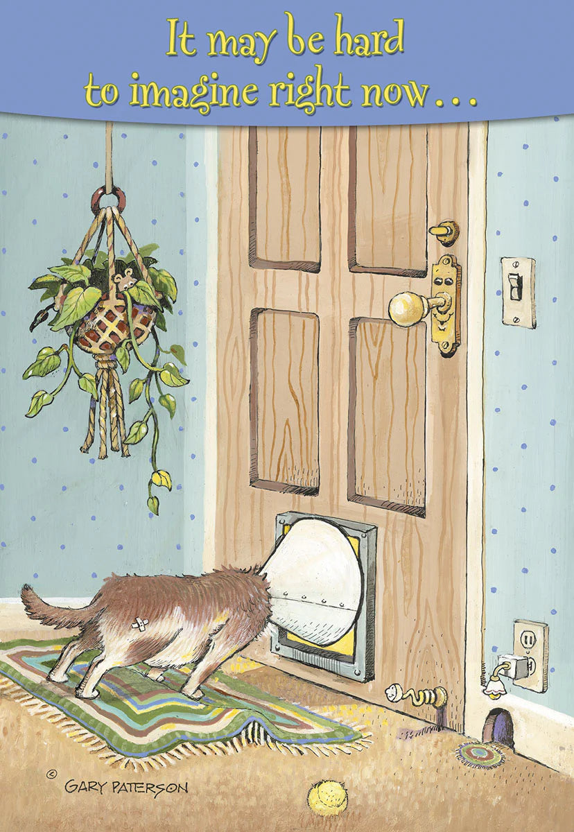 Get Well Card - Dog with Cone on Head