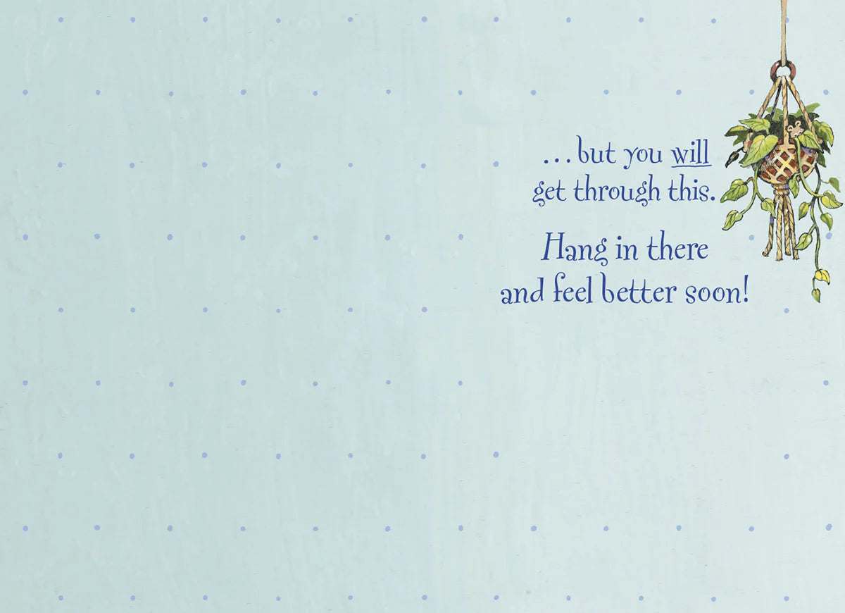 Get Well Card - Dog with Cone on Head