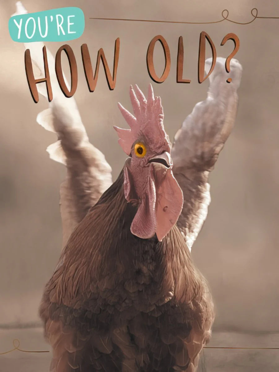 Funny Chicken Birthday Card - You're How Old? | Funny Birthday Greeting Card