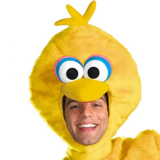 Big Bird Adult Costume