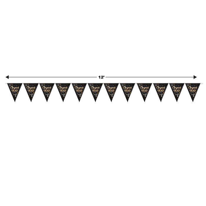 Metallic Congrats Grad Pennant Banner
