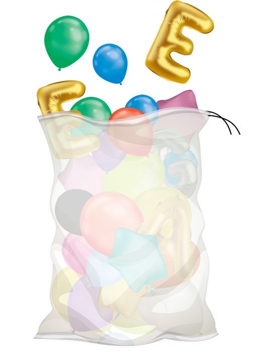 Balloon Storage/Carry Bag
