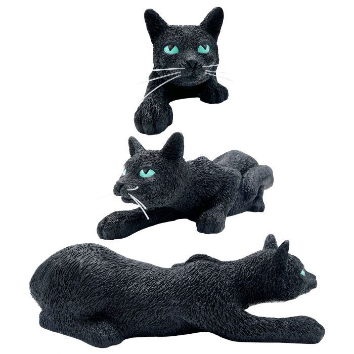 Prowling Black Cat