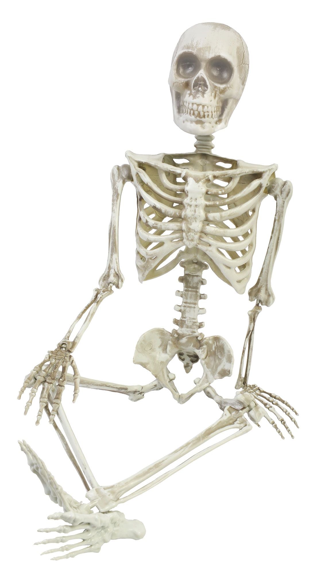 36” Articulated Skeleton