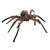 Fuzzy Spider Brown 20in