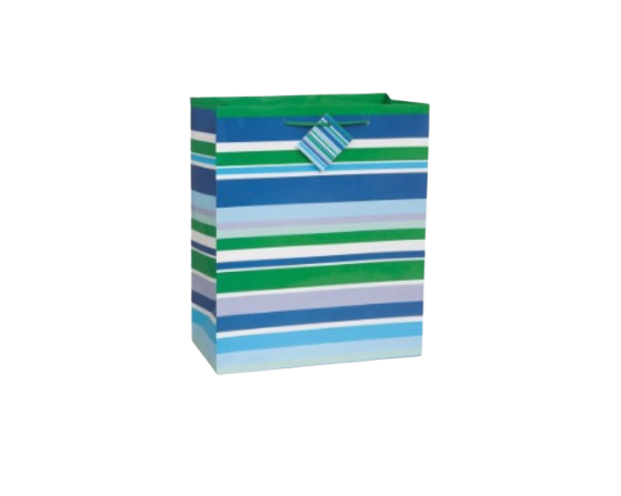 Party Stripes Large Gift Bag Assortment