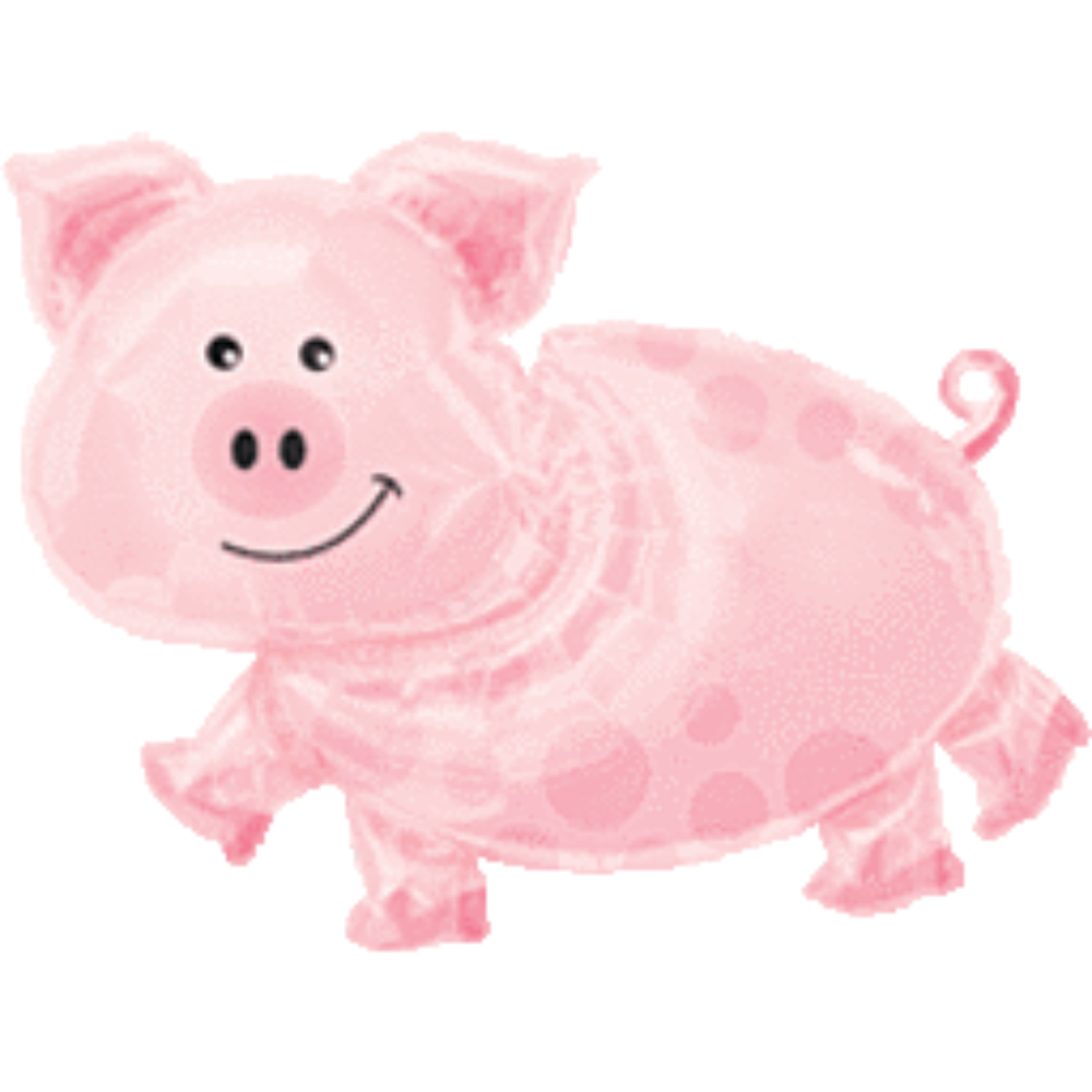 25" Pig