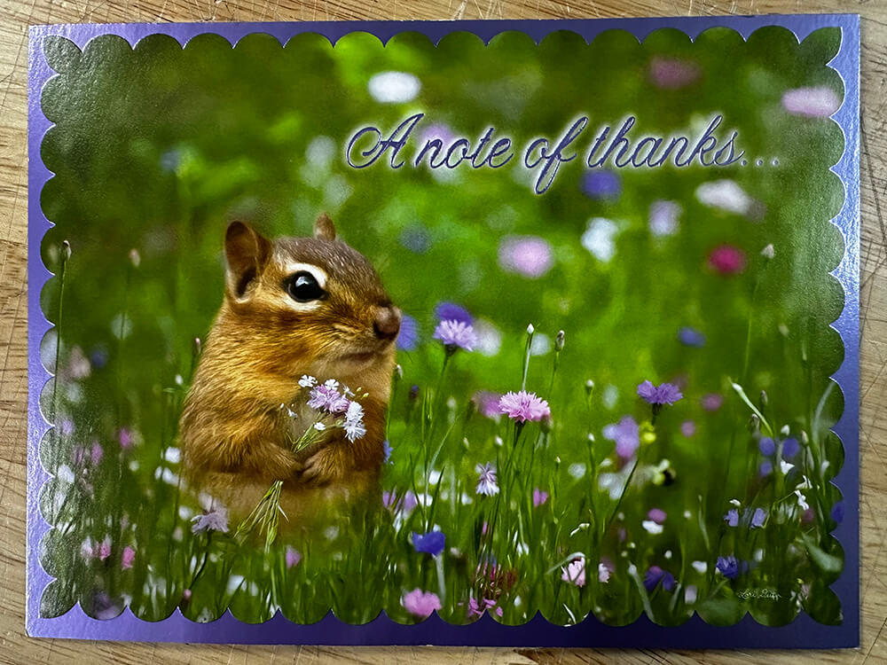 squirrel A note of thanks