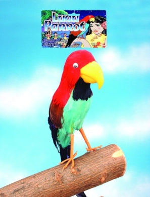 Pirate Parrot