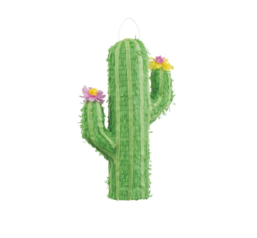 Cactus 3D Pinata