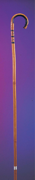 Bamboo Cane