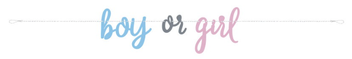 Blue or Pink Gender Reveal Banner