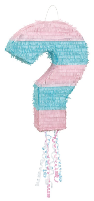 Question Mark Gender Reveal Pinata