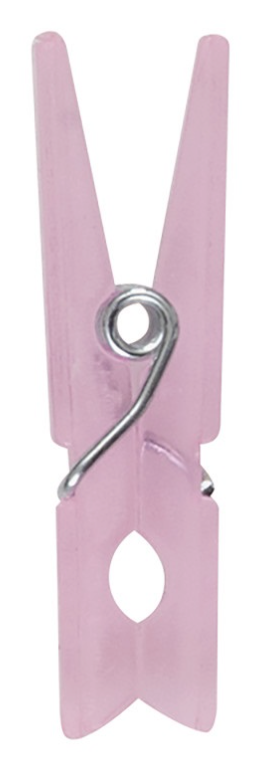 Baby Pink Clothespin Favors