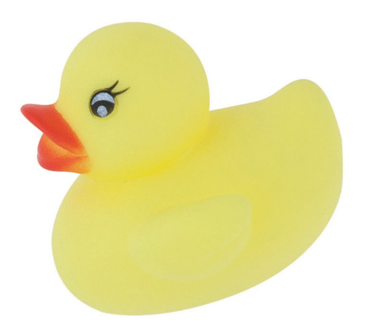 Baby Shower Rubber Duck Favors