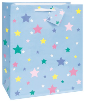 Lovely Blooms Gift Bag