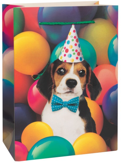 Birthday Pets Gift Bags