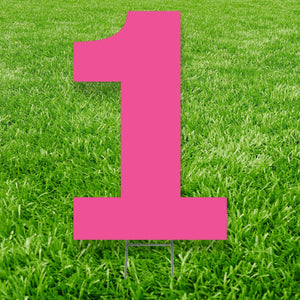 Advanced Graphics BIRTHDAY Pink Number 1 Yard Sign