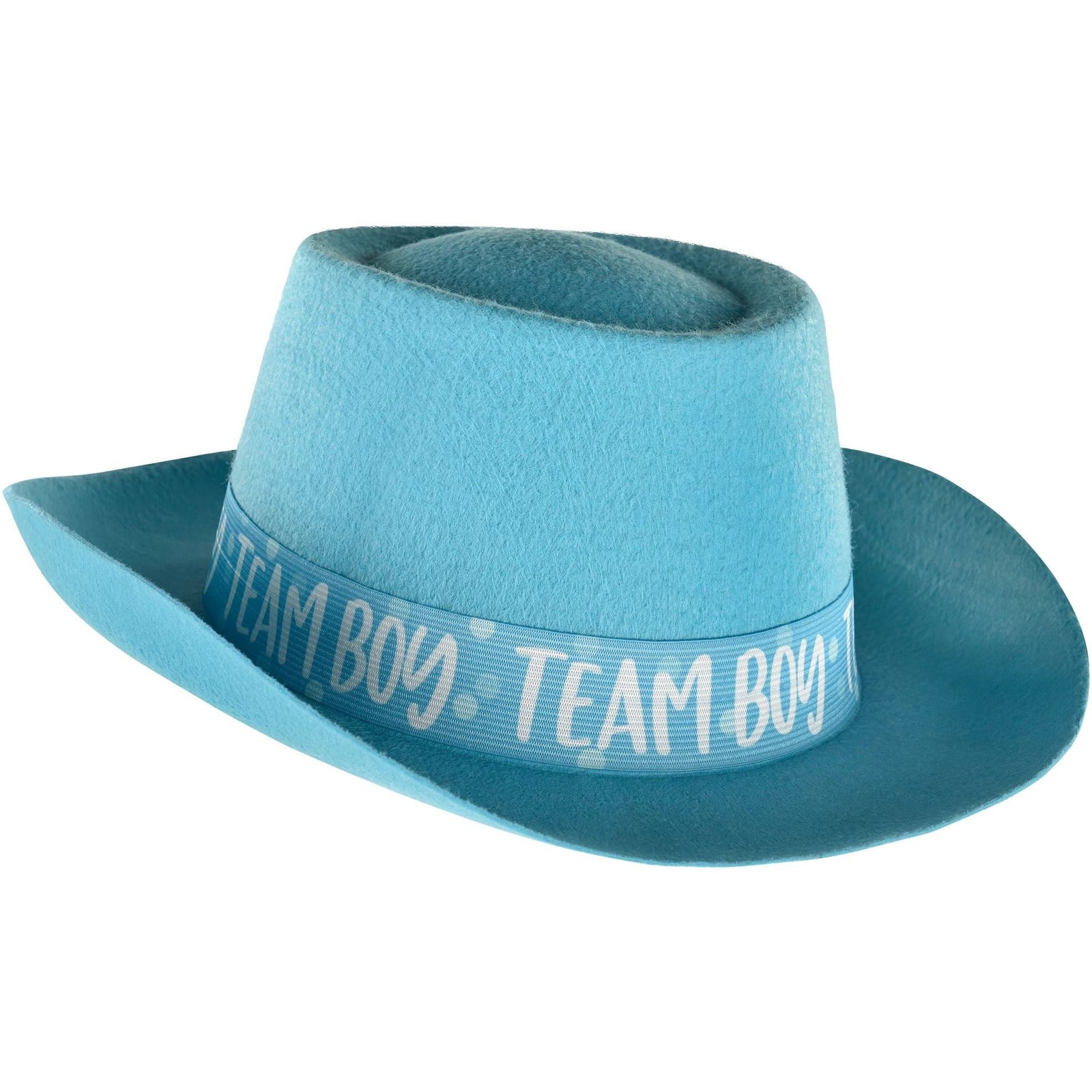 Amscan BABY SHOWER Gender Reveal Felt Hat - Boy