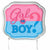 Amscan BABY SHOWER Girl or Boy Gender Reveal Cake Topper