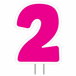 Amscan BIRTHDAY Pink Number 2 Yard Sign