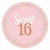 Amscan BIRTHDAY SWEET 16 PINK 10.5 IN PLATES