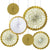 Amscan DECORATIONS Gold Motifs Fan Decorating Kit