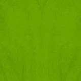 Citrus Green Eco Friendly Tissue Paper – Party Snobs