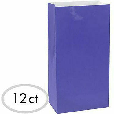 Amscan GIFT WRAP Medium Purple Paper Treat Bags 12ct