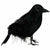 Amscan HOLIDAY: HALLOWEEN Black Raven