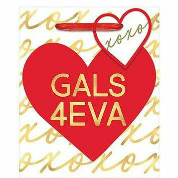 Amscan HOLIDAY: VALENTINES Gals 4eva Gift Bag