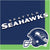 Amscan THEME: SPORTS Seattle Seahawks Lunch Napkins