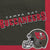 Amscan THEME: SPORTS Tampa Bay Buccaneers Luncheon Napkins