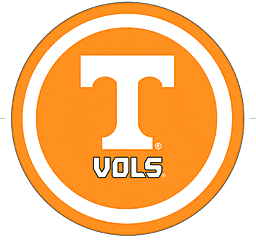 Amscan THEME: SPORTS University of Tennessee Plates - 7"